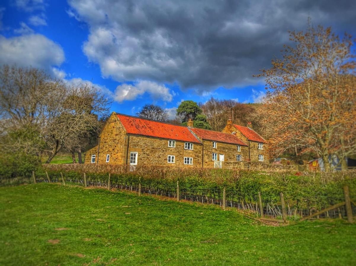 Park House Bed & Breakfast Ingleby Arncliffe Exterior photo